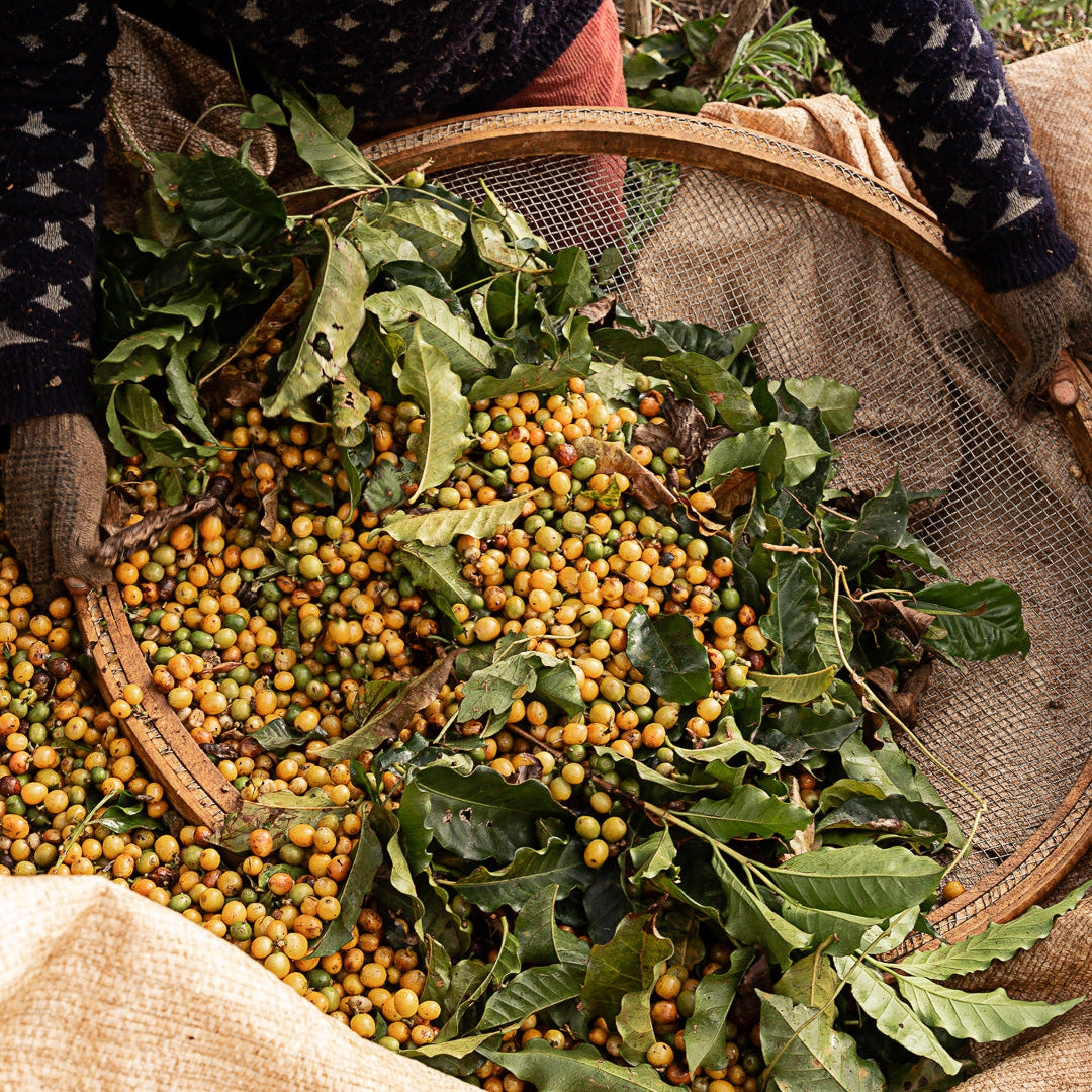 Café Especial 250g Moído